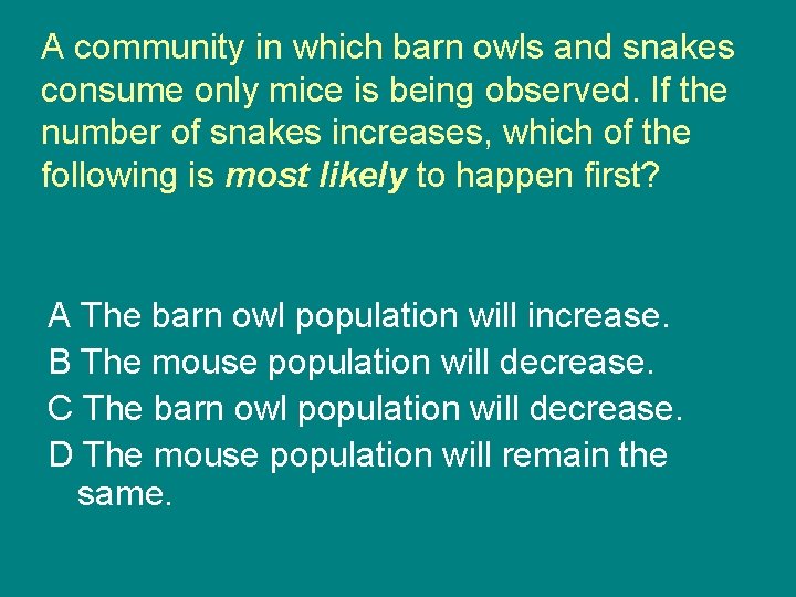 A community in which barn owls and snakes consume only mice is being observed.