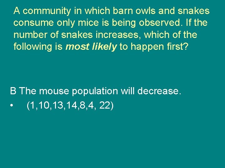 A community in which barn owls and snakes consume only mice is being observed.