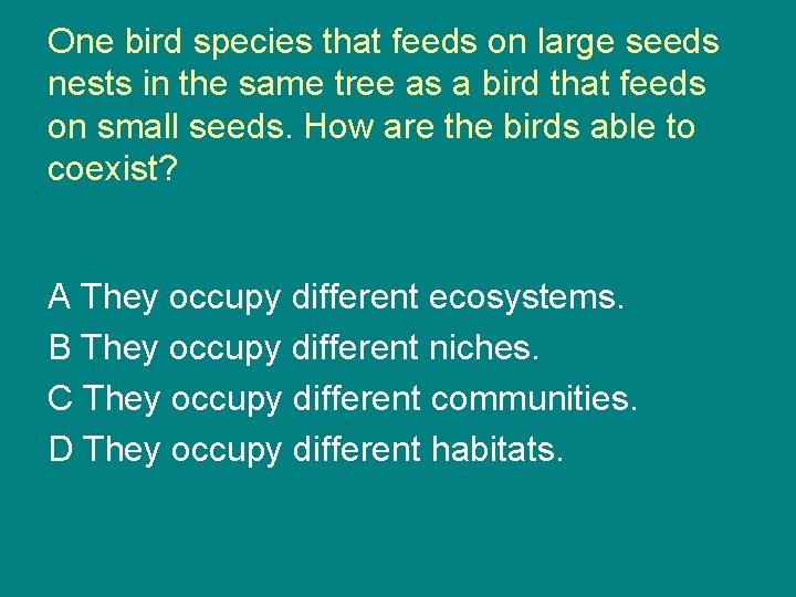 One bird species that feeds on large seeds nests in the same tree as