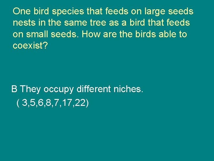 One bird species that feeds on large seeds nests in the same tree as