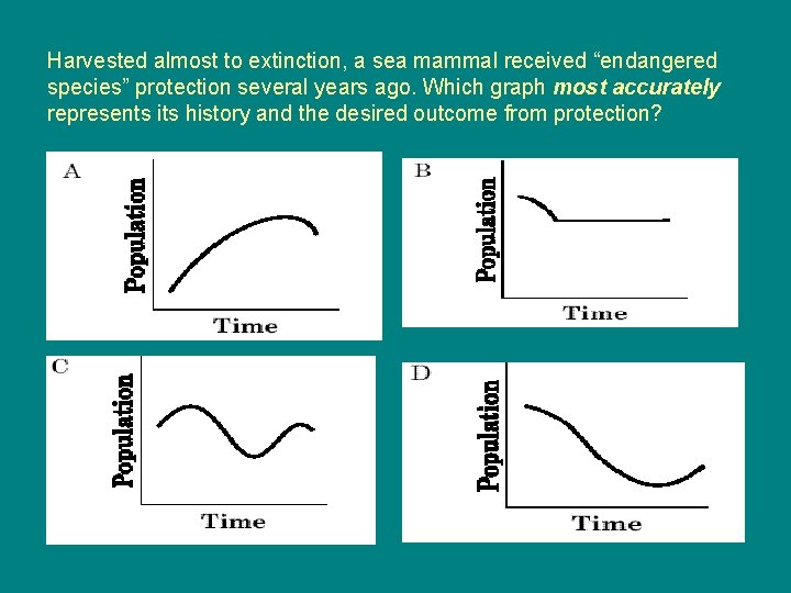 Harvested almost to extinction, a sea mammal received “endangered species” protection several years ago.