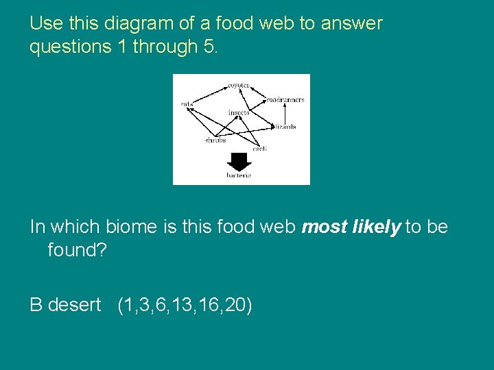 Use this diagram of a food web to answer questions 1 through 5. In