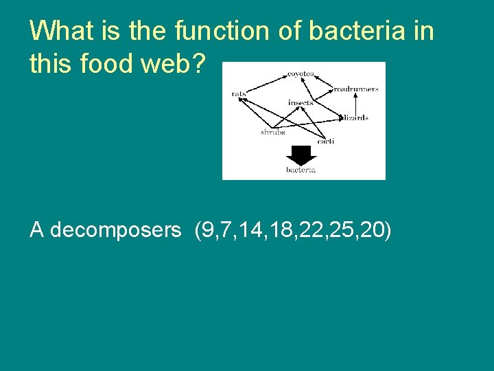 What is the function of bacteria in this food web? A decomposers (9, 7,