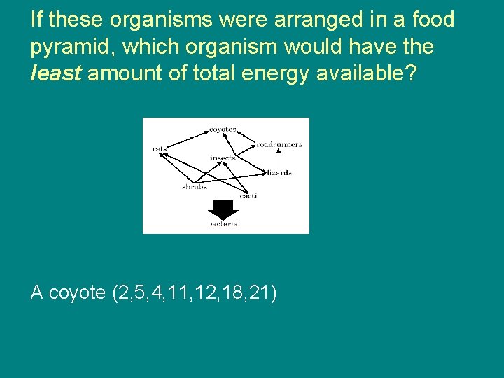 If these organisms were arranged in a food pyramid, which organism would have the
