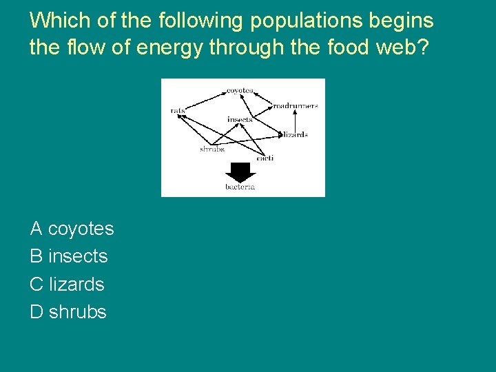 Which of the following populations begins the flow of energy through the food web?