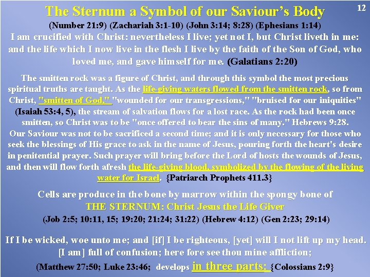 The Sternum a Symbol of our Saviour’s Body 12 (Number 21: 9) (Zachariah 3: