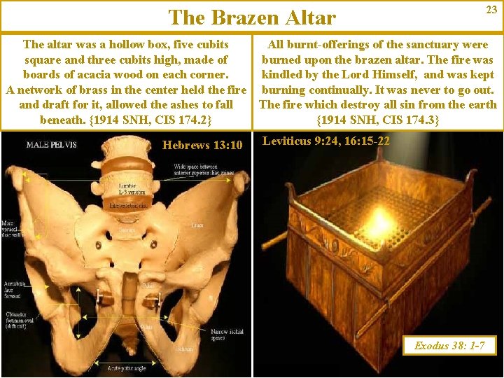 23 The Brazen Altar The altar was a hollow box, five cubits square and
