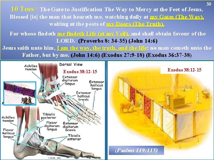 10 Toes= The Gate to Justification The Way to Mercy at the Feet of