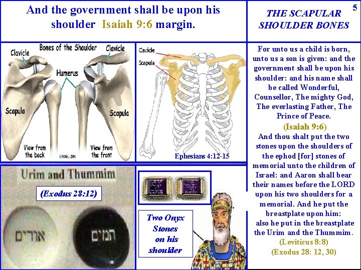 And the government shall be upon his shoulder Isaiah 9: 6 margin. THE SCAPULAR