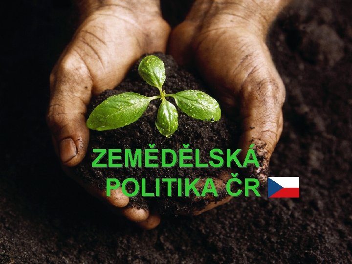 ZEMĚDĚLSKÁ POLITIKA ČR 