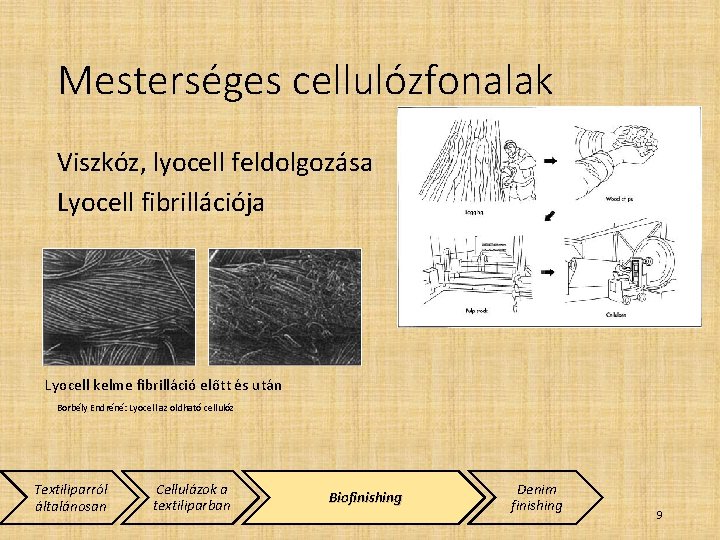 Mesterséges cellulózfonalak Viszkóz, lyocell feldolgozása Lyocell fibrillációja Lyocell kelme fibrilláció előtt és után Borbély