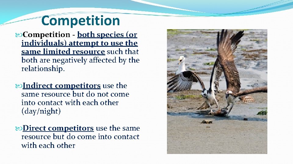 Competition - both species (or individuals) attempt to use the same limited resource such
