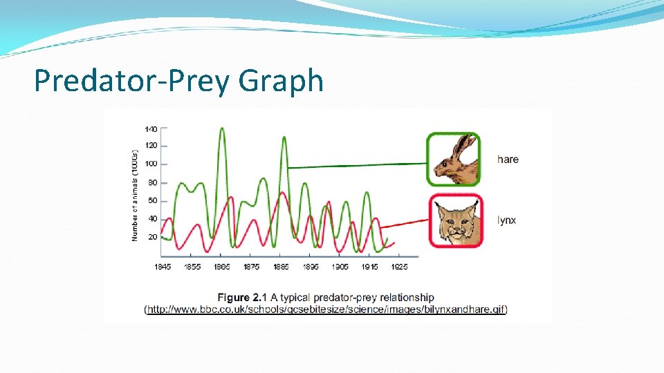 Predator-Prey Graph 