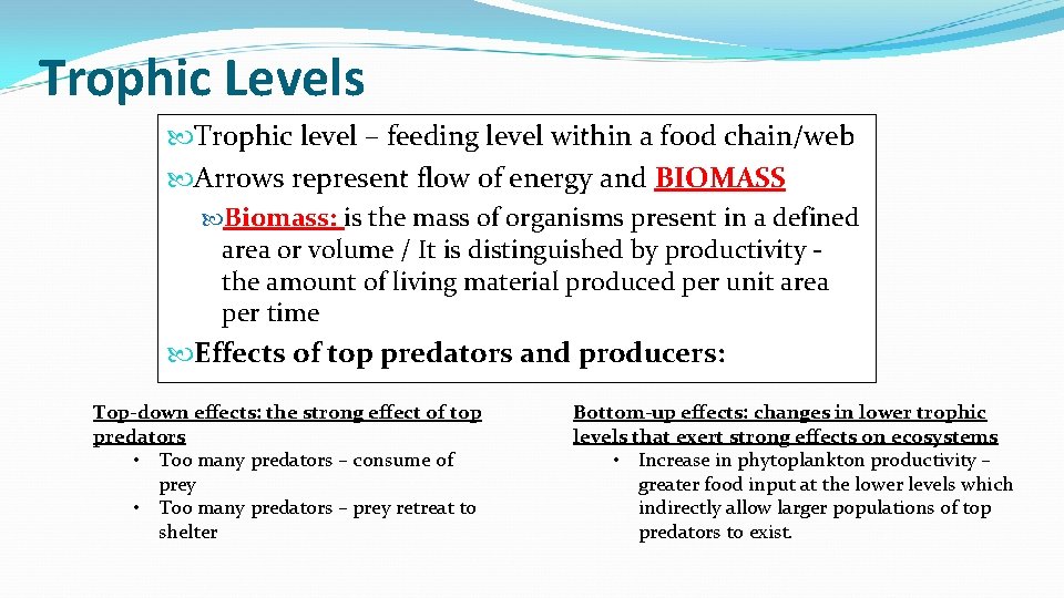 Trophic Levels Trophic level – feeding level within a food chain/web Arrows represent flow