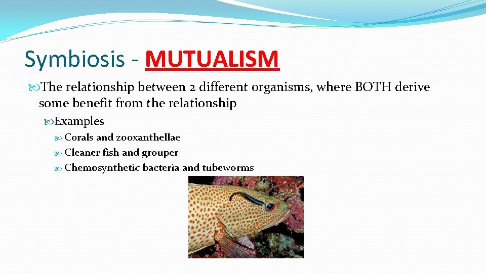 Symbiosis - MUTUALISM The relationship between 2 different organisms, where BOTH derive some benefit