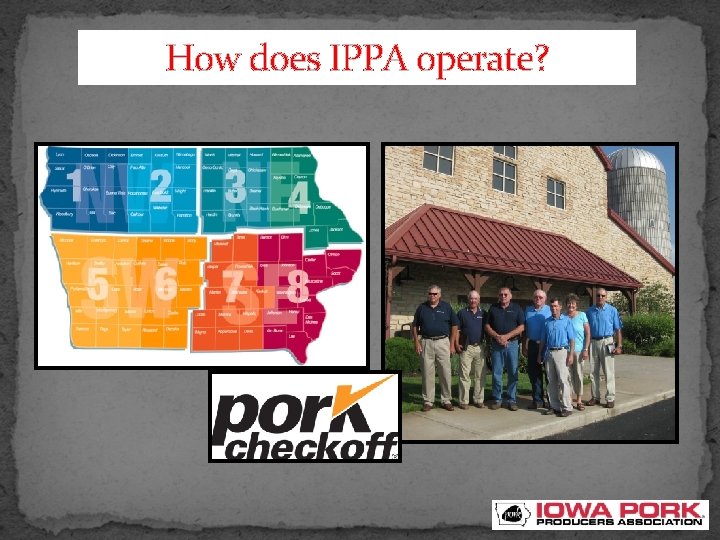 How does IPPA operate? 