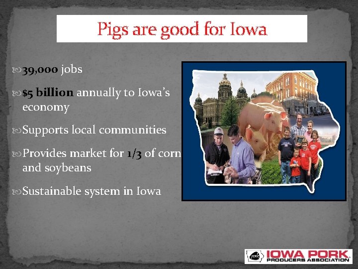 Pigs are good for Iowa 39, 000 jobs $5 billion annually to Iowa’s economy