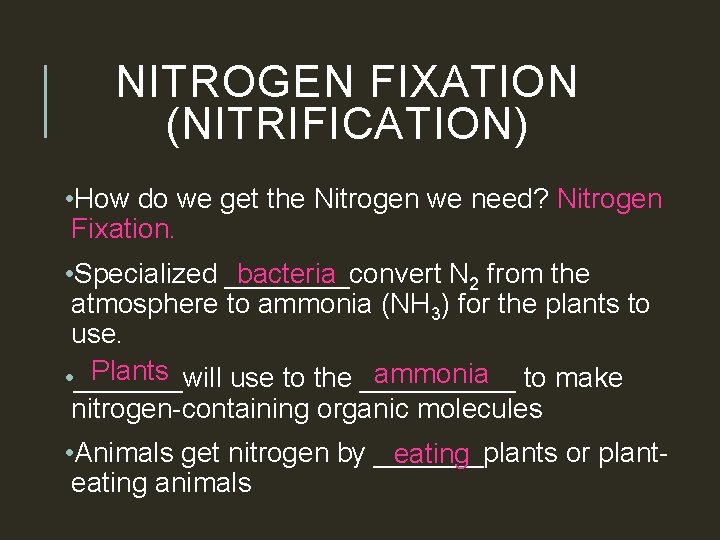 NITROGEN FIXATION (NITRIFICATION) • How do we get the Nitrogen we need? Nitrogen Fixation.
