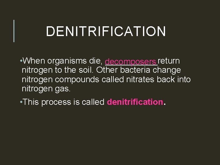 DENITRIFICATION • When organisms die, decomposers ______return nitrogen to the soil. Other bacteria change