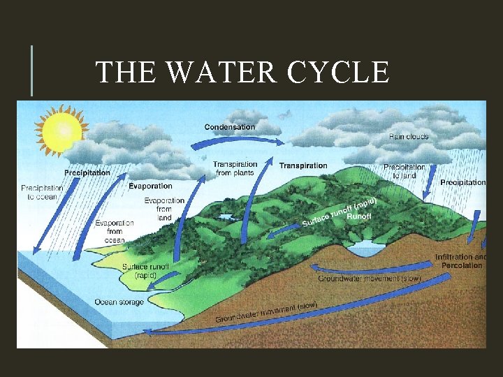 THE WATER CYCLE 