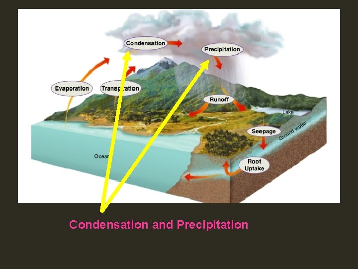 Condensation and Precipitation 