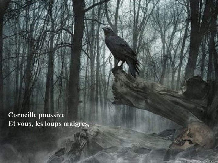 Corneille poussive Et vous, les loups maigres, 