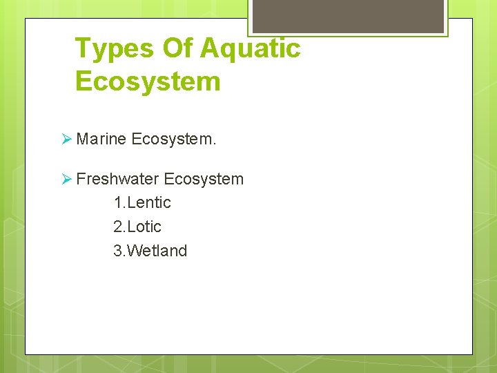 Types Of Aquatic Ecosystem Marine Ecosystem. Freshwater Ecosystem 1. Lentic 2. Lotic 3. Wetland