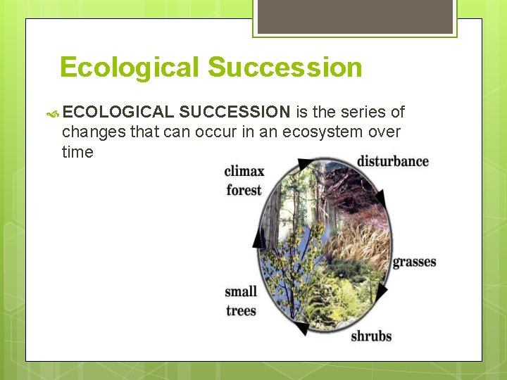 Ecological Succession ECOLOGICAL SUCCESSION is the series of changes that can occur in an