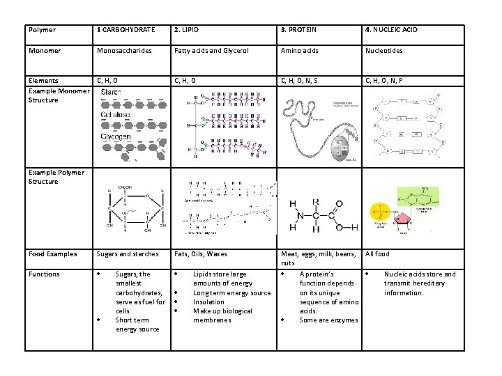 Polymer 1 CARBOHYDRATE 2. LIPID 3. PROTEIN 4. NUCLEIC ACID Monomer Monosaccharides Fatty acids