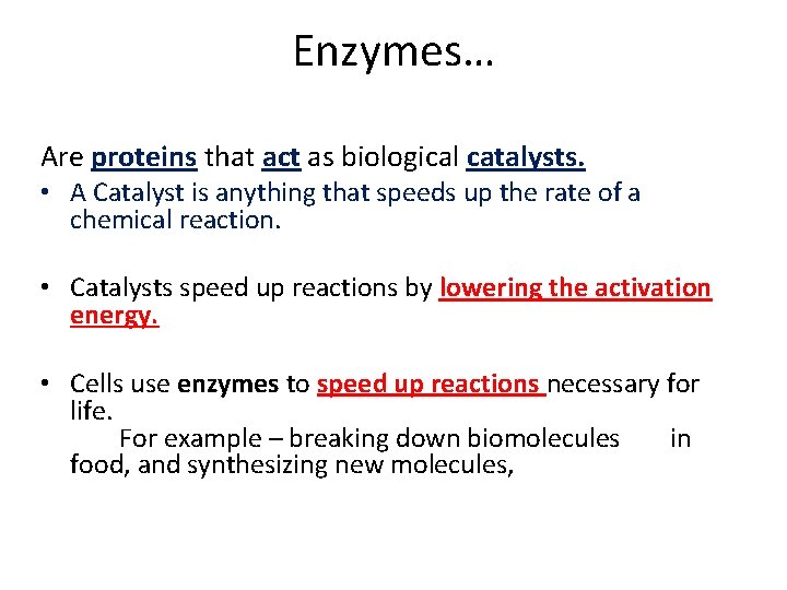 Enzymes… Are proteins that act as biological catalysts. • A Catalyst is anything that