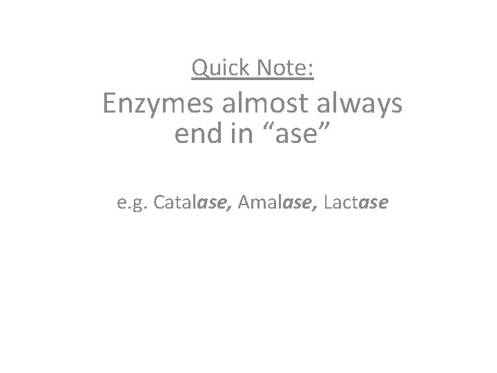 Quick Note: Enzymes almost always end in “ase” e. g. Catalase, Amalase, Lactase 