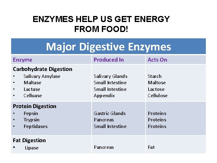 ENZYMES HELP US GET ENERGY FROM FOOD! Major Digestive Enzymes Enzyme Carbohydrate Digestion •