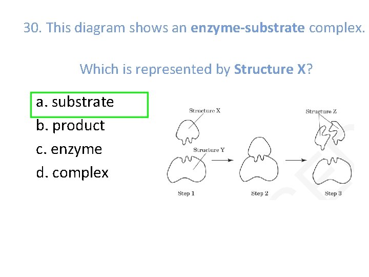 30. This diagram shows an enzyme-substrate complex. Which is represented by Structure X? a.