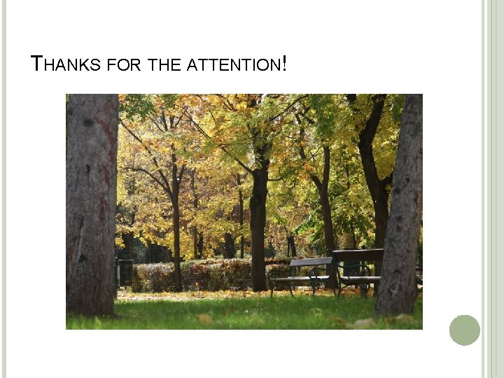 THANKS FOR THE ATTENTION! 