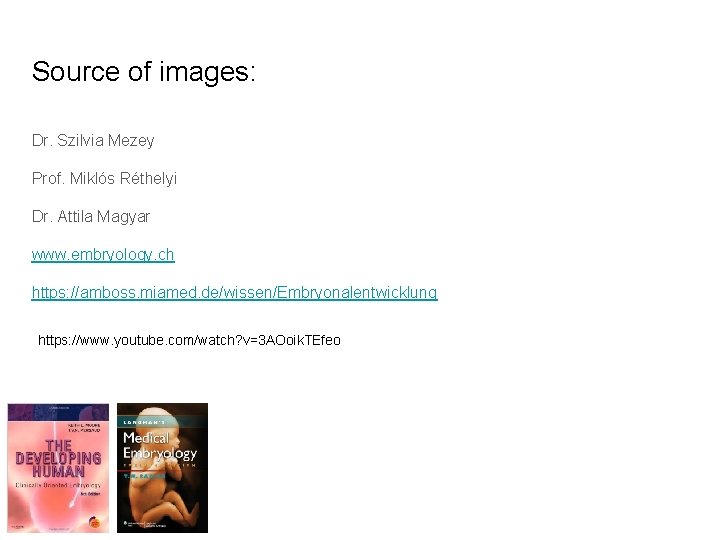 Source of images: Dr. Szilvia Mezey Prof. Miklós Réthelyi Dr. Attila Magyar www. embryology.