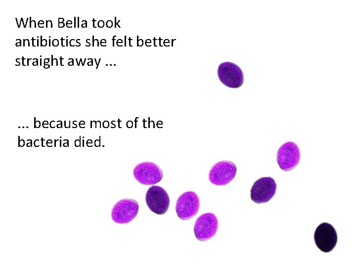 When Bella took antibiotics she felt better straight away. . . because most of