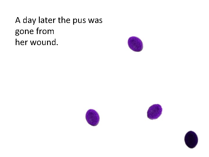 A day later the pus was gone from her wound. 