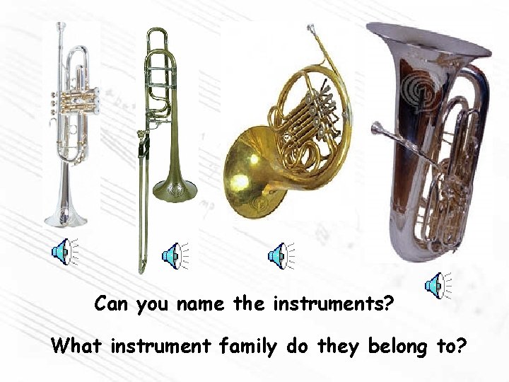 Can you name the instruments? What instrument family do they belong to? 