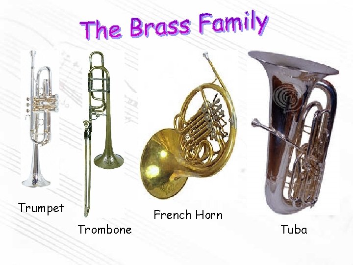 Trumpet Trombone French Horn Tuba 