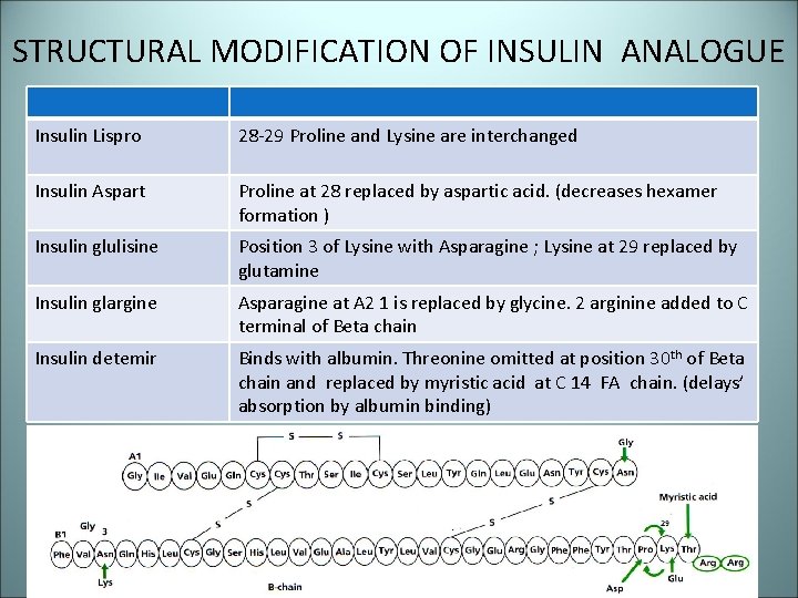 STRUCTURAL MODIFICATION OF INSULIN ANALOGUE Insulin Lispro 28 -29 Proline and Lysine are interchanged
