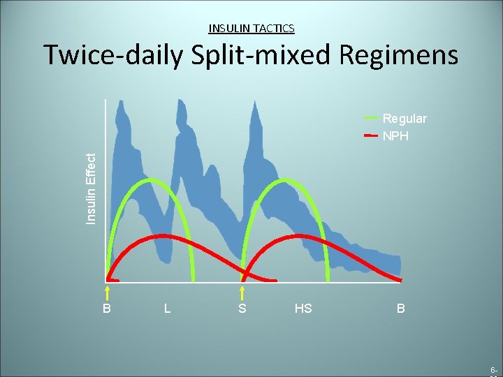 INSULIN TACTICS Twice-daily Split-mixed Regimens Insulin Effect Regular NPH B L S HS B