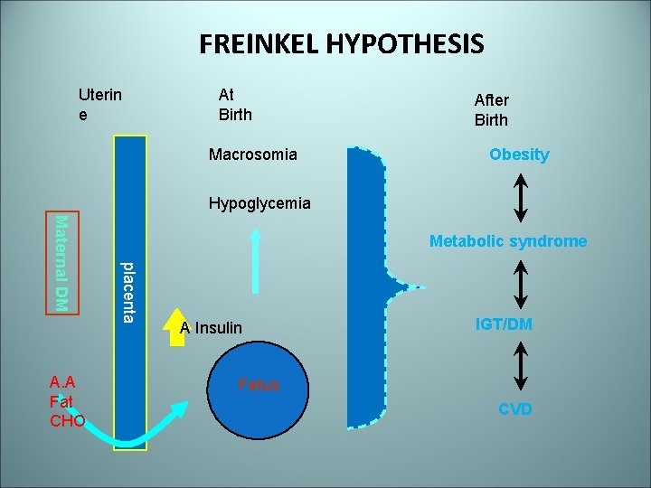 FREINKEL HYPOTHESIS Uterin e At Birth Macrosomia After Birth Obesity Hypoglycemia placenta Maternal DM