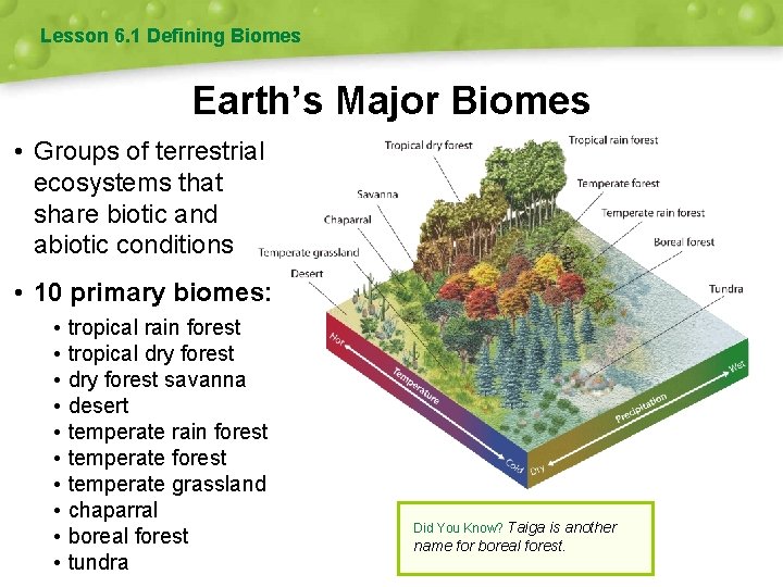 Lesson 6. 1 Defining Biomes Earth’s Major Biomes • Groups of terrestrial ecosystems that