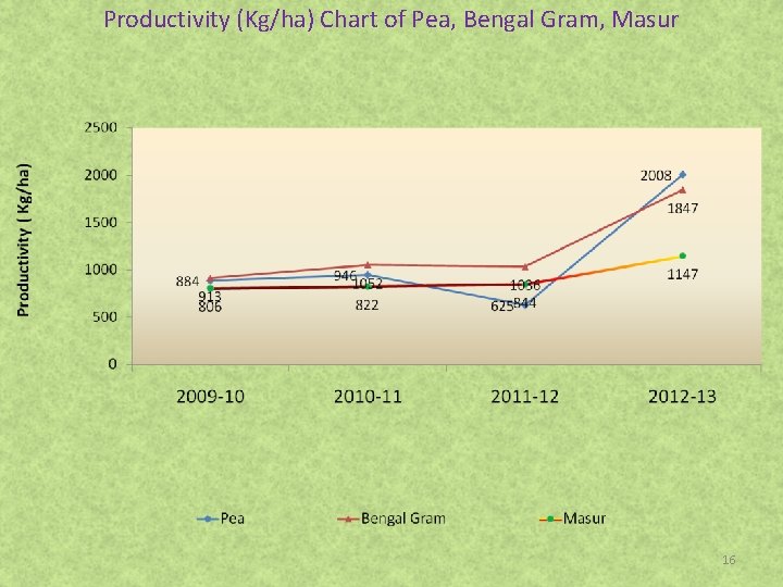 Productivity (Kg/ha) Chart of Pea, Bengal Gram, Masur 16 