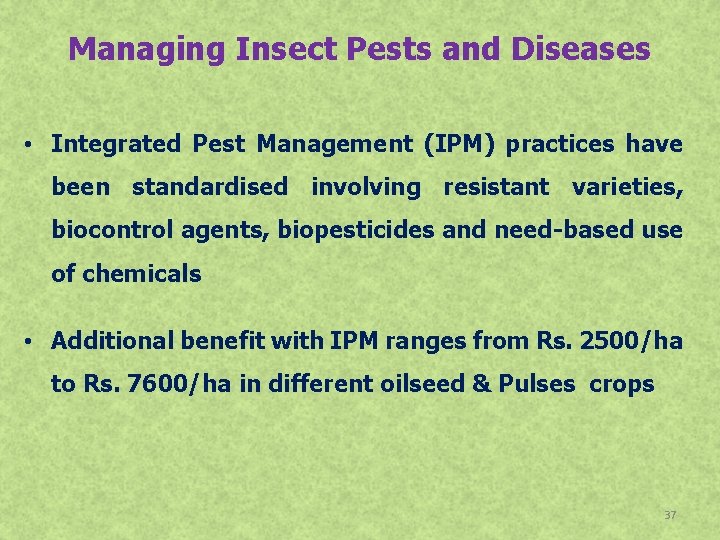 Managing Insect Pests and Diseases • Integrated Pest Management (IPM) practices have been standardised