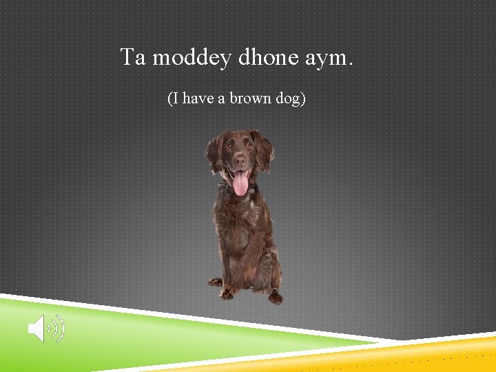 Ta moddey dhone aym. (I have a brown dog) 