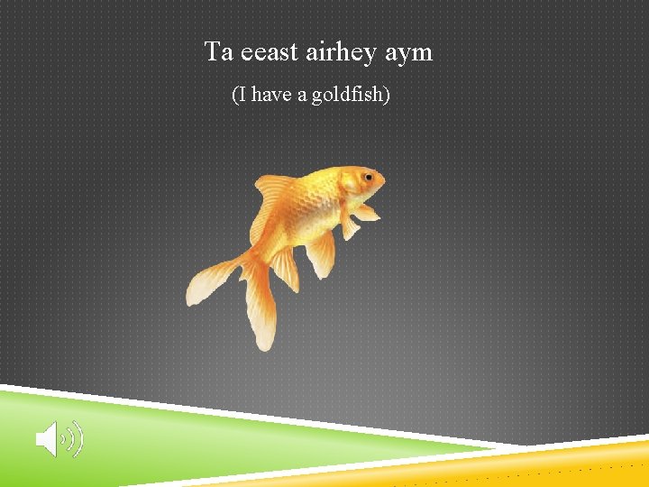 Ta eeast airhey aym (I have a goldfish) 
