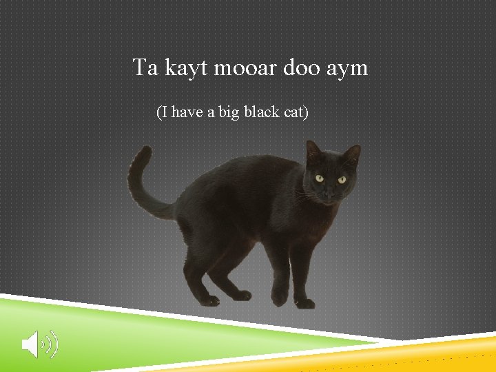 Ta kayt mooar doo aym (I have a big black cat) 