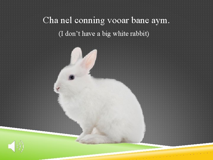 Cha nel conning vooar bane aym. (I don’t have a big white rabbit) 