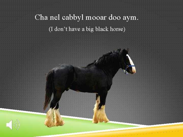 Cha nel cabbyl mooar doo aym. (I don’t have a big black horse) 